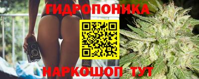 винт Ливны