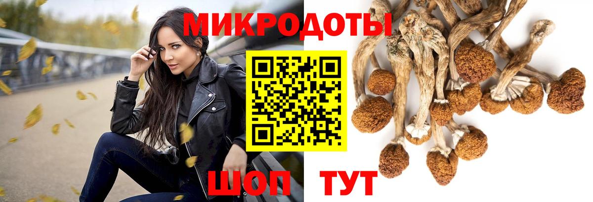 Галлюциногенные грибы прущие грибы  Вход с VPN  Кимры 